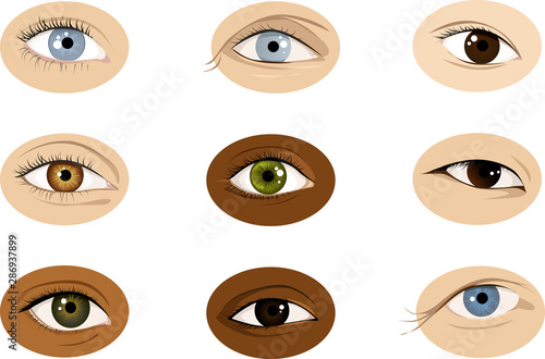 Set of realistic racially diverse vector illustrations of human eyes, male and female, EPS 8, no transparencies