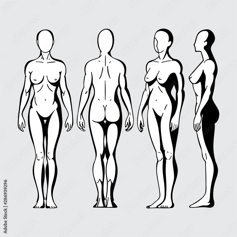 Vettoriale Stock Female body. Hand drawn female body in different poses  set. Woman body front, side and back view isolated vector illustration.  Woman naked full length figure sketch drawing. Part of set.