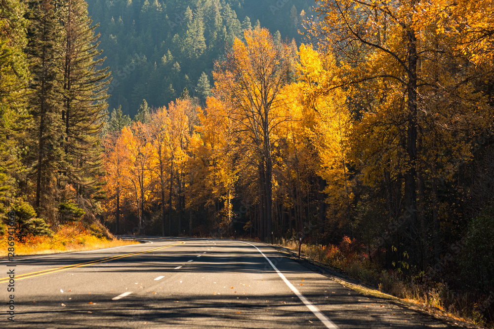 Obraz premium Mountain road surrounded by trees with autumnal colors in Liberty