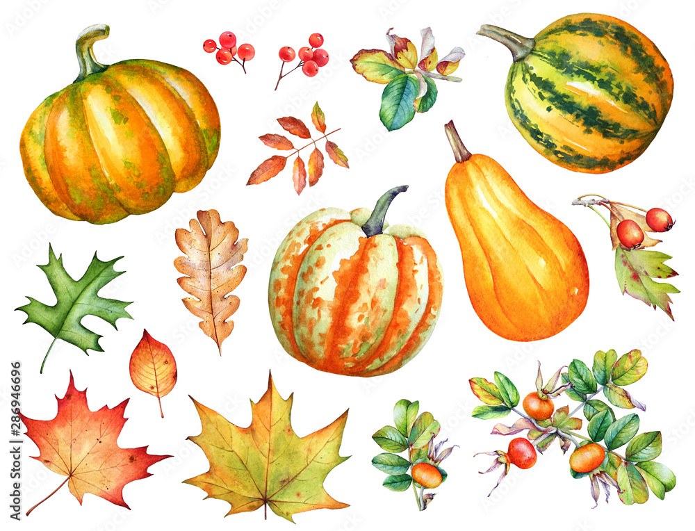 Watercolor autumn leaves, berries and pumpkins on white background. - obrazy, fototapety, plakaty 