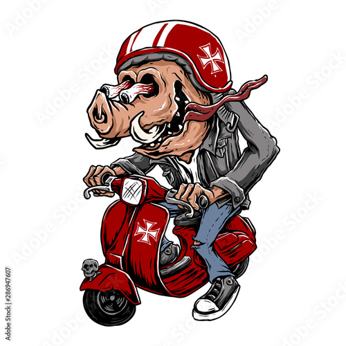 funny pig or hog ride scooter bike