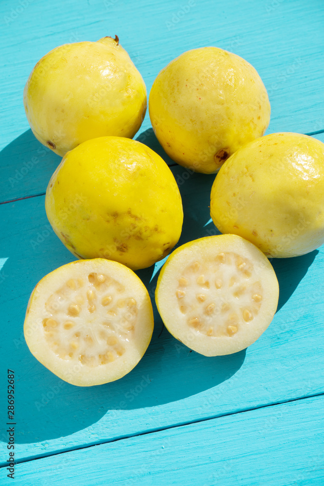 Guava fruit on blue background Guava fruit on blue background