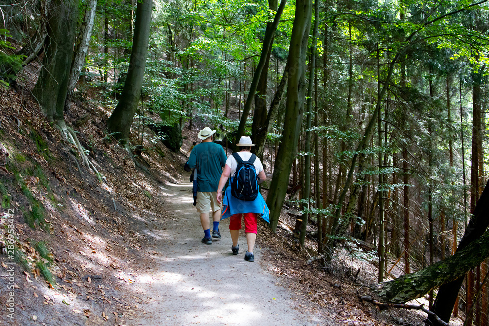 Couple of tourists on a hiking trail in the woods.Czech Switzerland National Park. A national park famous for its sandstone formations, wild valleys and frozen waterfalls. Couple of tourists on a hiking trail in the woods.Czech Switzerland National Park. A national park famous for its sandstone formations, wild valleys and frozen waterfalls.