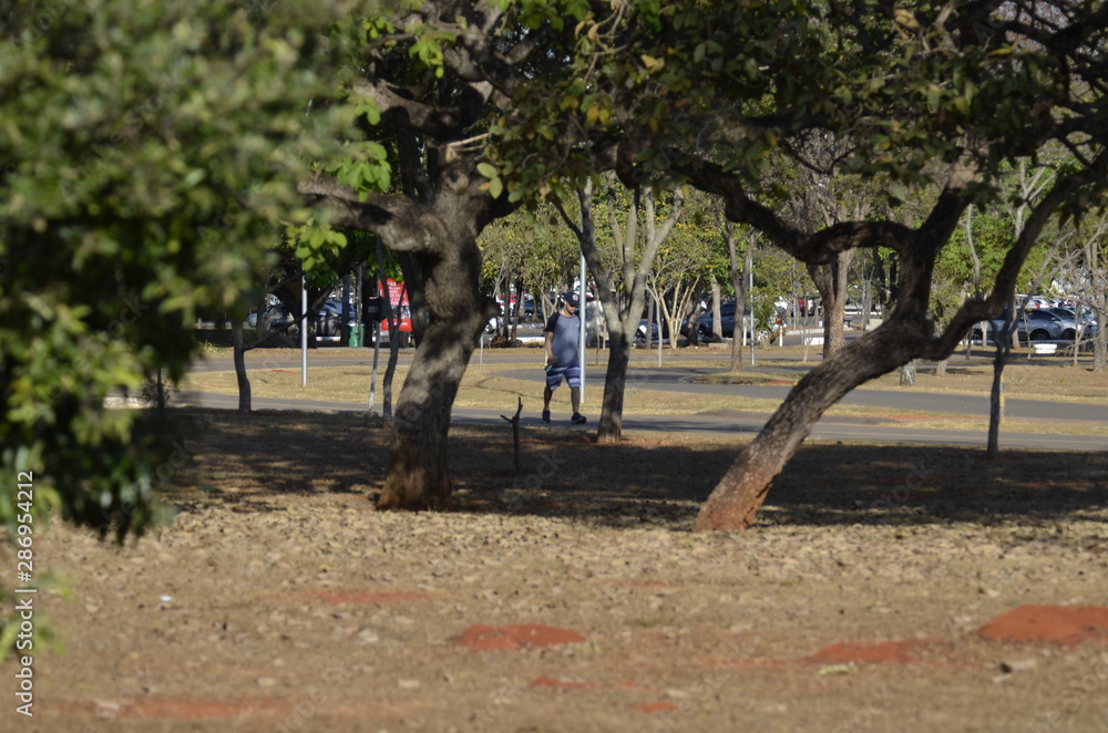 A beautiful view of people walking in Brasilia park, Brazil A beautiful view of people walking in Brasilia park, Brazil