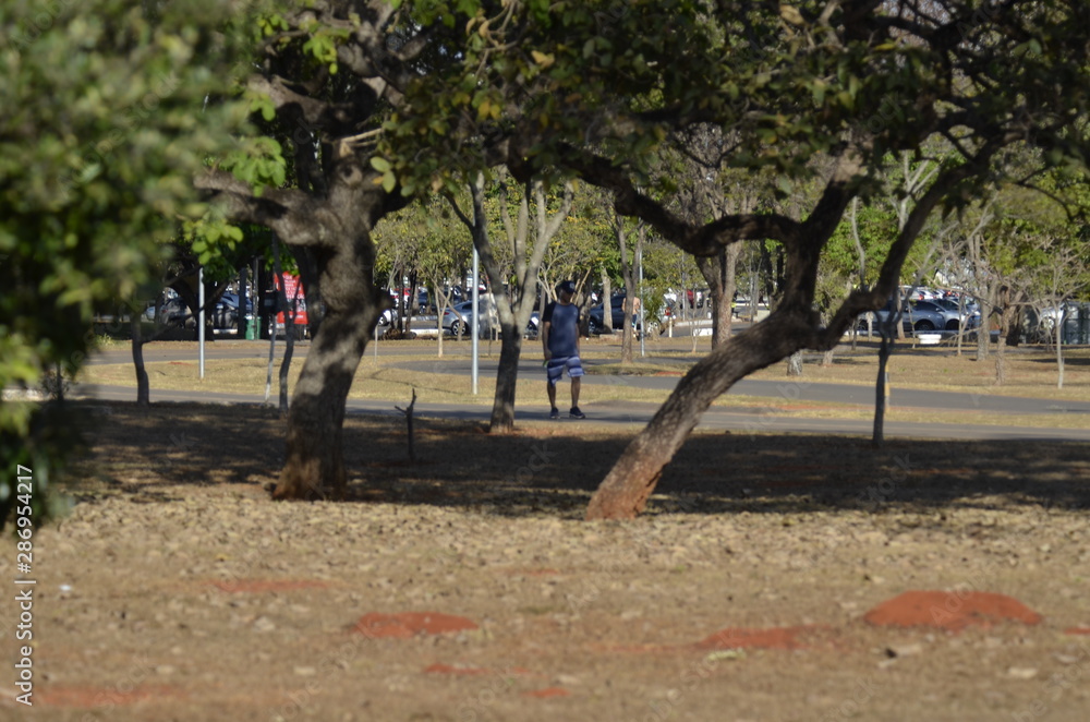 A beautiful view of people walking in Brasilia park, Brazil A beautiful view of people walking in Brasilia park, Brazil
