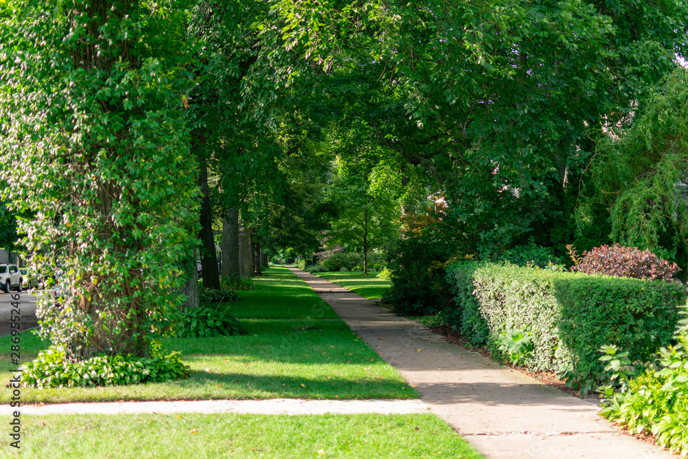 Residential Shaded Sidewalk with Green Trees in Evanston Illinois