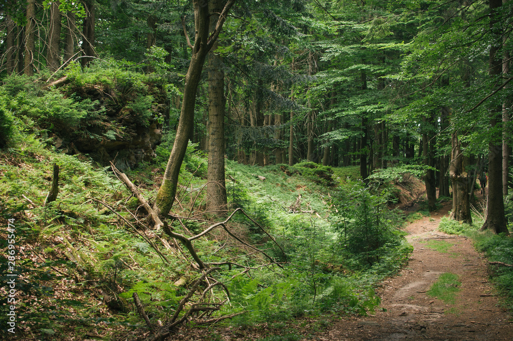 Obraz premium Backpacking in Beskydy mountains, the most favourite places