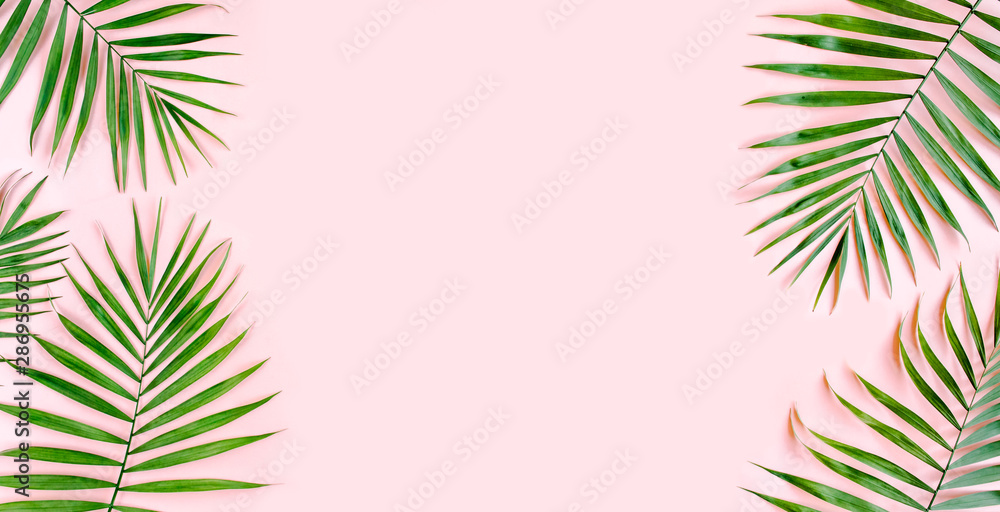 Tropical green palm leaves on pink background. Flat lay, top view