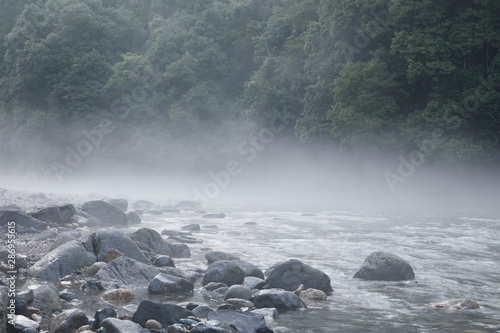 霧の渓流