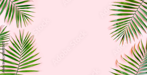 Tropical green palm leaves on pink background. Flat lay, top view