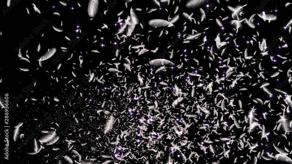Feather fluffy and Lens Flares Particles background Feather fluffy and Lens Flares Particles background