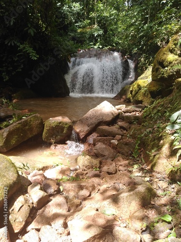 Chanchamayo