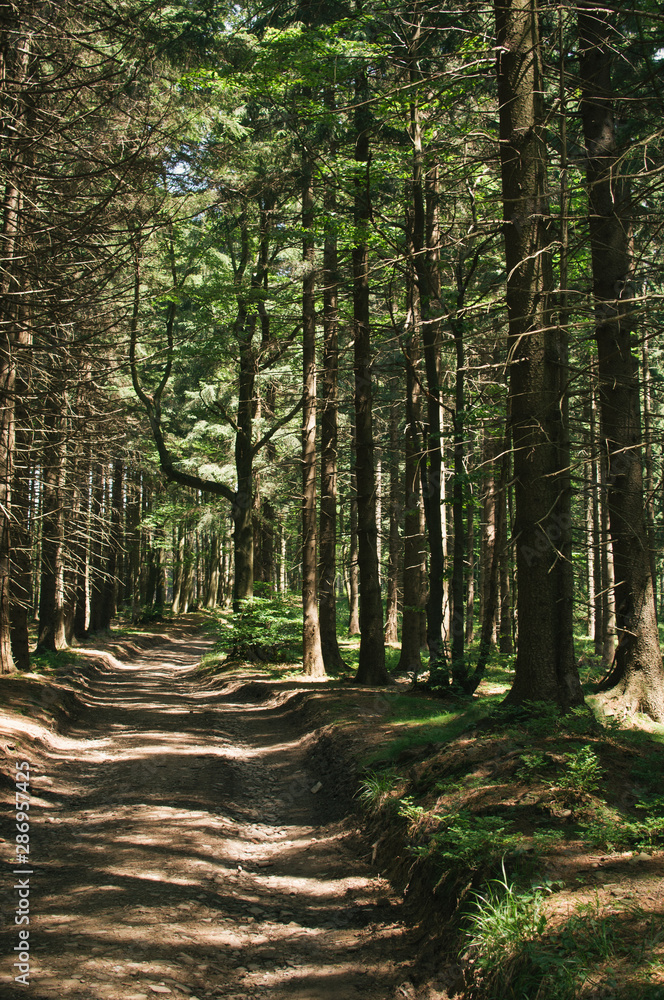 Obraz premium Backpacking in Beskydy mountains, the most favourite places