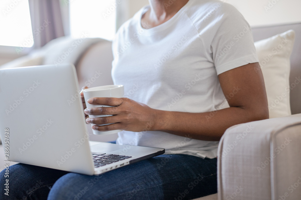 Naklejka premium Woman at home using Laptop