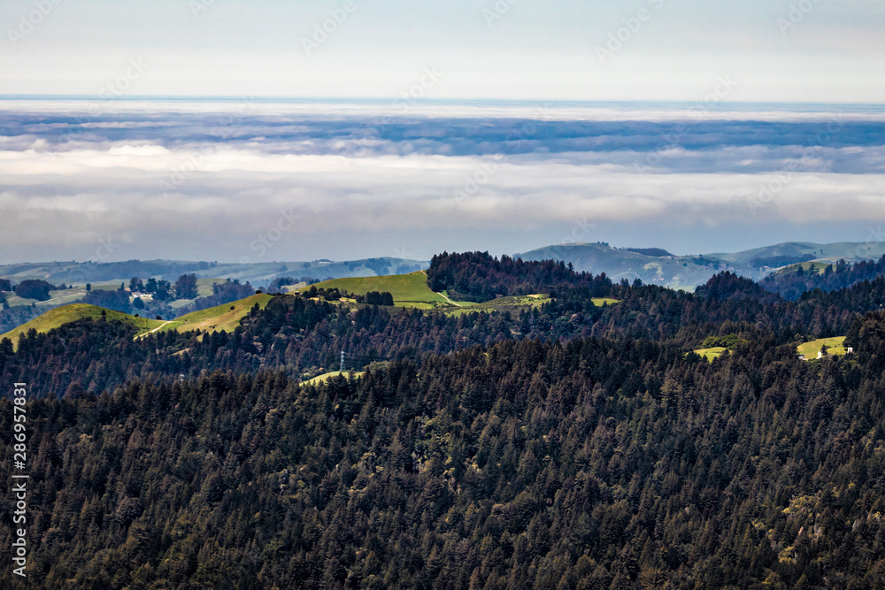 Aerial View of Mountains Covered in Forests of Redwood Trees with Fog on the Horizon in San Mateo County, California, USA