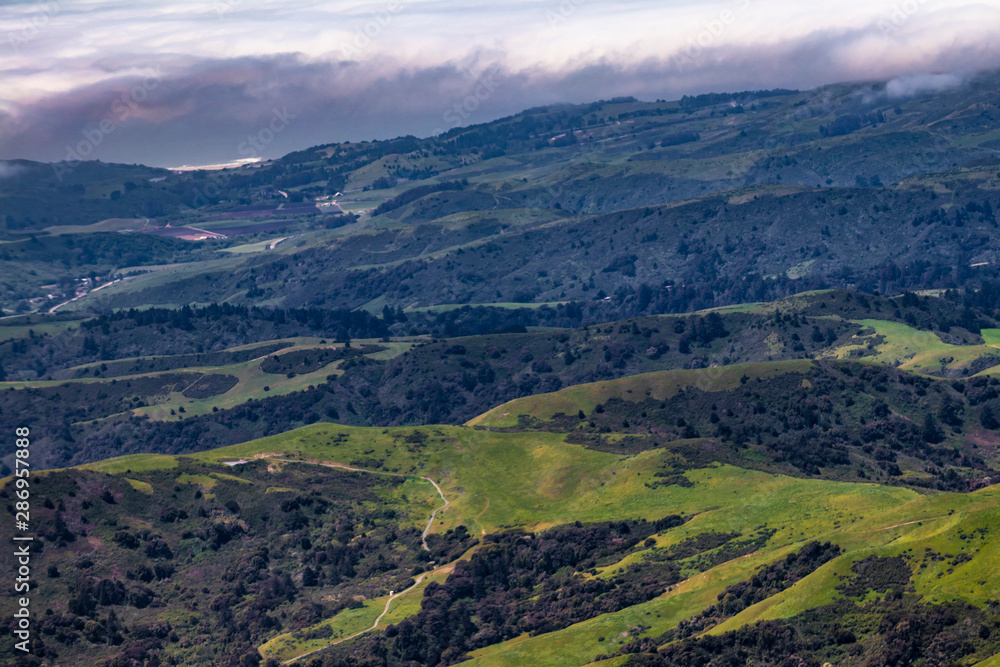 Aerial View of a Fog Bank Rolling in over the Green Mountains of San Mateo County, USA