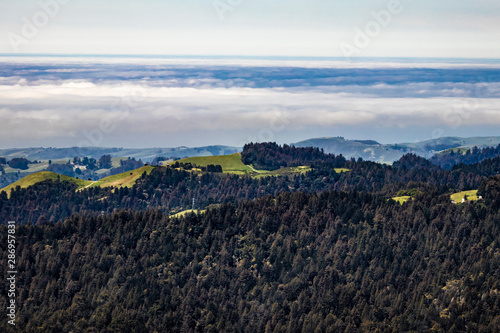 Aerial View of Mountains Covered in Forests of Redwood Trees with Fog on the Horizon in San Mateo County, California, USA photo