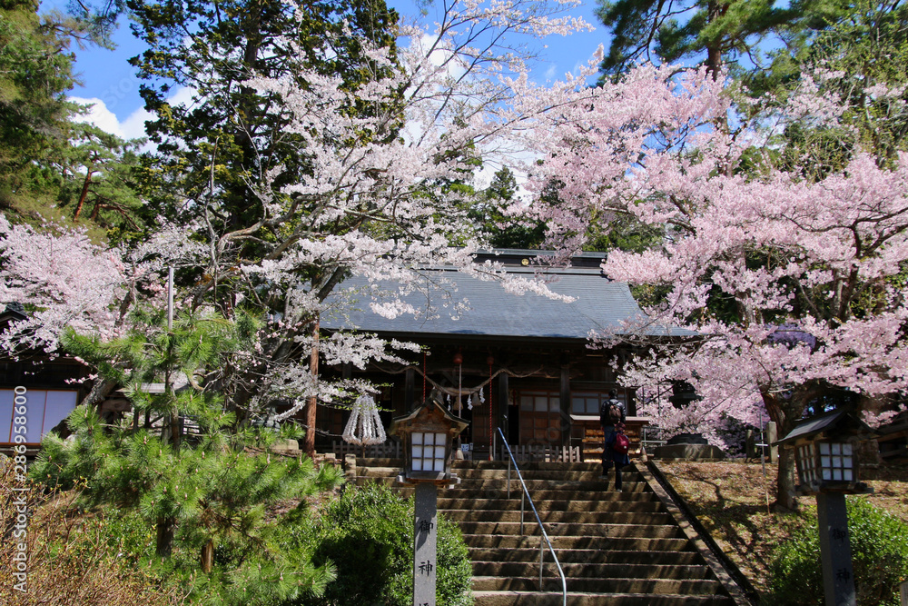 春の土津神社（福島県・猪苗代町）