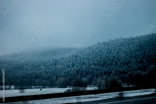 black forest snow