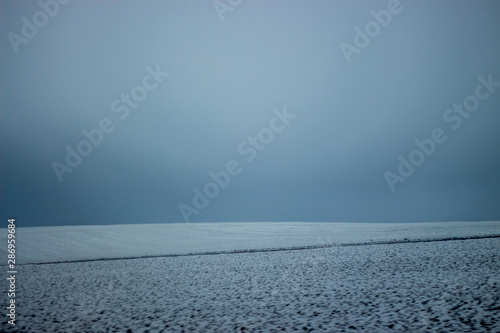 black forest snow