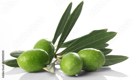 Wallpaper Mural オリーブの枝と果実 Torontodigital.ca