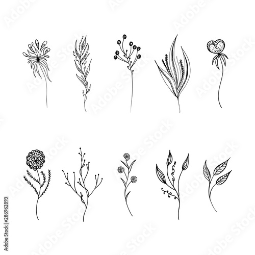 Line art flowers set outline in hand drawn style. Vintage floral collection, great design for any purposes. Black flowers set outline hand on white background. Ink line drawn tropical leaves