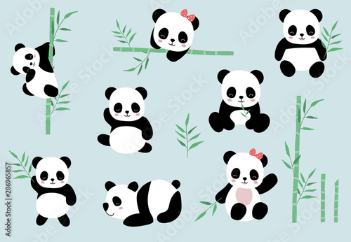Fototapeta Naklejka Na Ścianę i Meble -  Collection of panda object set with bamboo