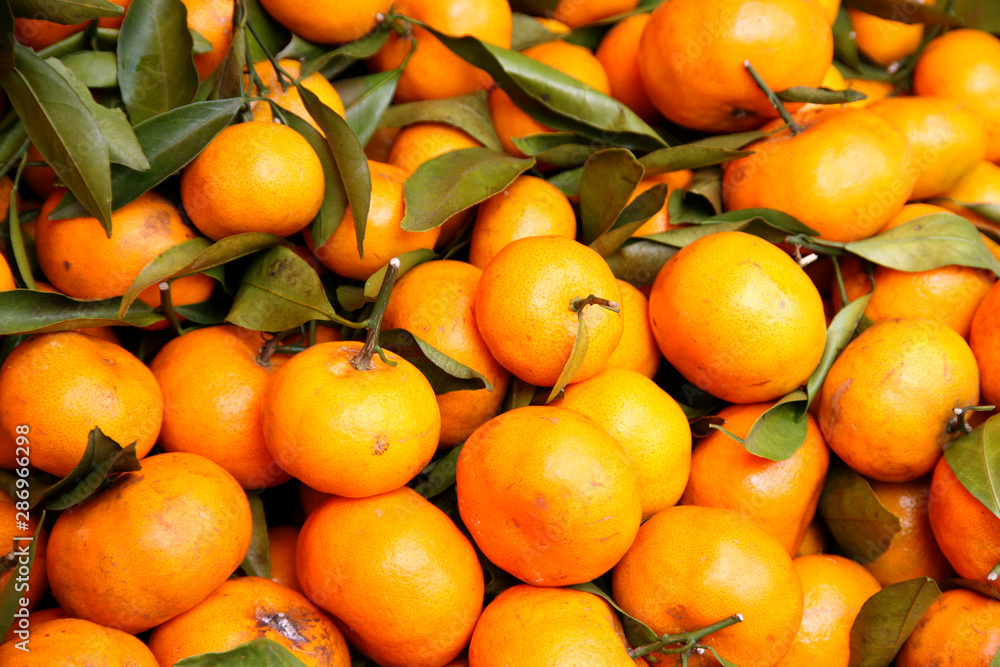 Fruit. Orange - Bangkok
