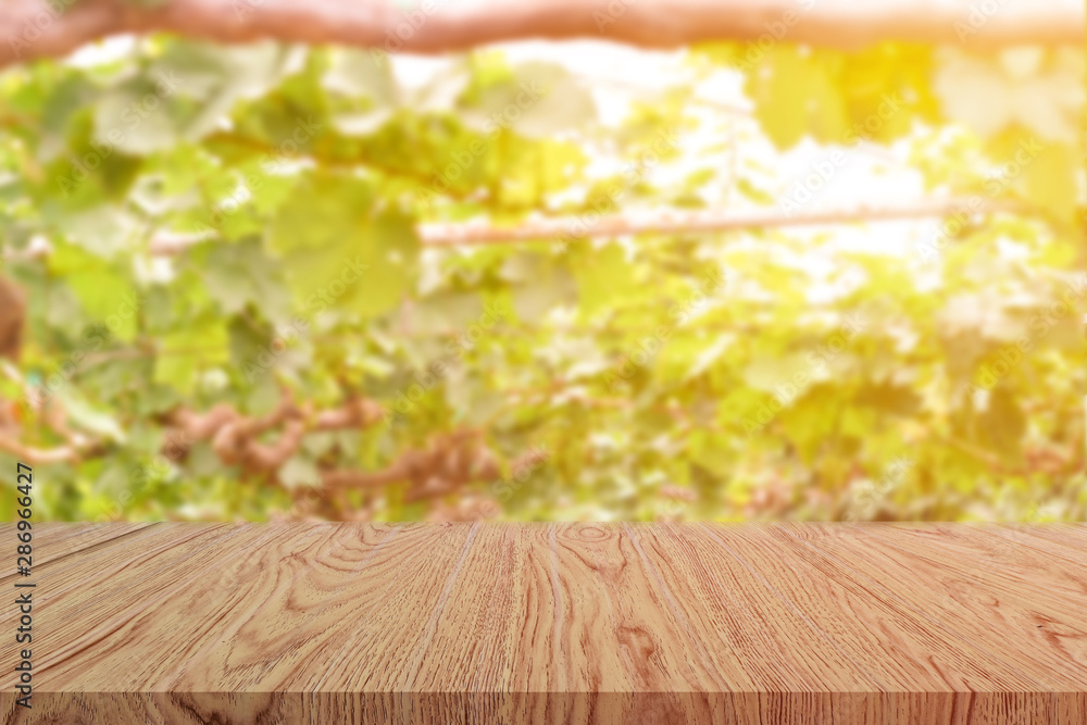 Empty wooden table top on blur of grape garden background. For your product display or design key visual layout Empty wooden table top on blur of grape garden background. For your product display or design key visual layout