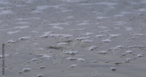 Sand Dollars On a Beach Are Washed Away By Wave