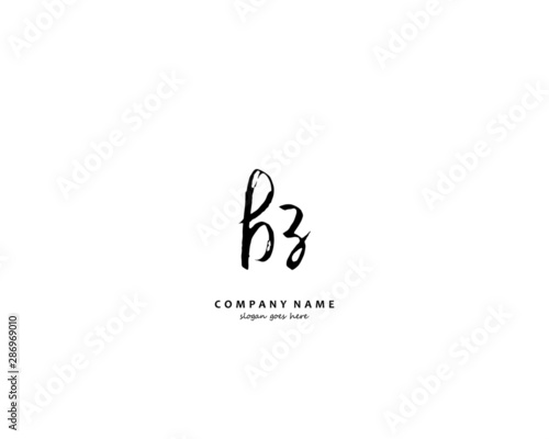 BZ Initial handwriting logo vector