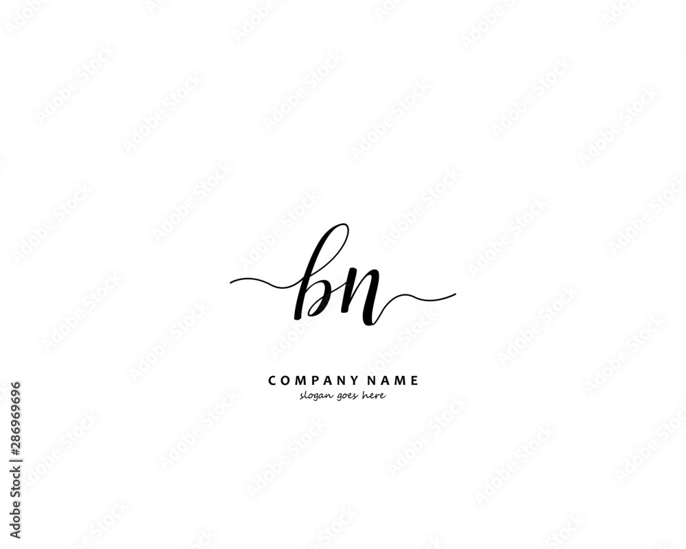 BN Initial handwriting logo vector