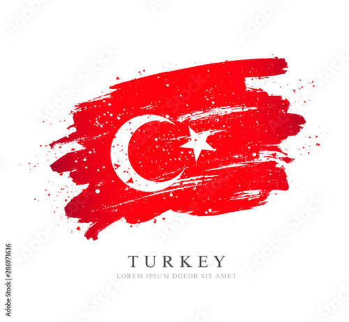 Flag of Turkey. Vector illustration on a white background.