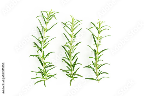 Green branchs and leaves of rosemary isolated on a white background.   edicinal herbs. Flat lay. Top view