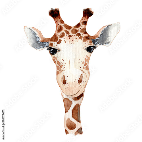 Photography Cute giraffe cartoon watercolor illustration animal