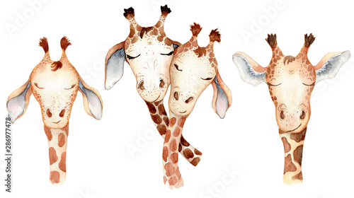 Canvas Print Cute giraffes couple cartoon watercolor illustration animal set