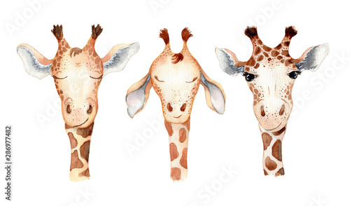Obraz na płótnie Ślicznej żyrafy kreskówki akwareli zwierzęcia ilustracyjny set