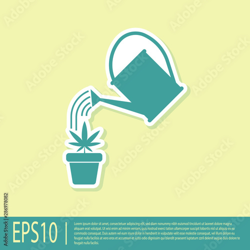 Green Watering can sprays water drops above marijuana or cannabis plant in pot icon isolated on yellow background. Marijuana growing concept. Vector Illustration