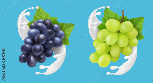 Grape in milk splash or ice cream. Red and green grapes branch in yogurt flow illustration for advertising