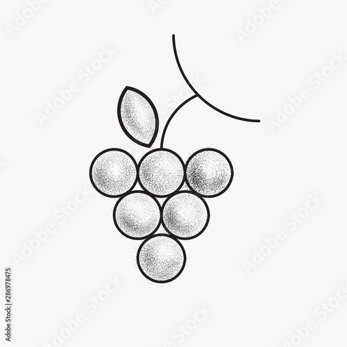 A bunch of grapes on a grapevine with leaves in a woodcut or etching retro style