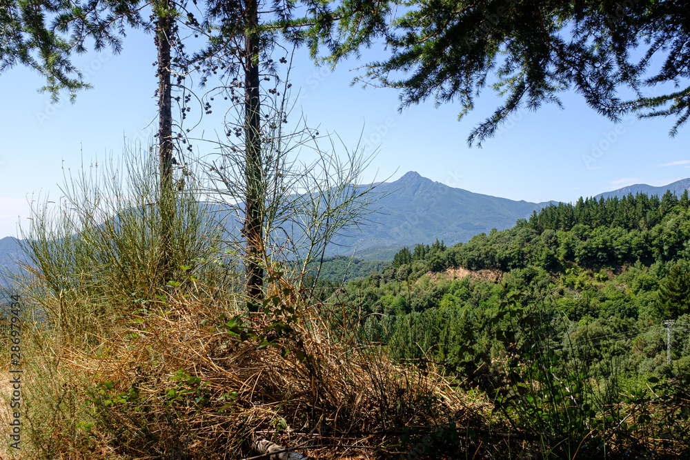 Green forest mountain landscape on a blue sky on a Mediterranean forest on a summer landscape