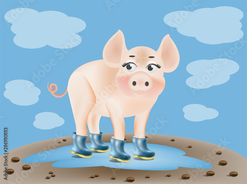 pig in rubber boots in a puddle