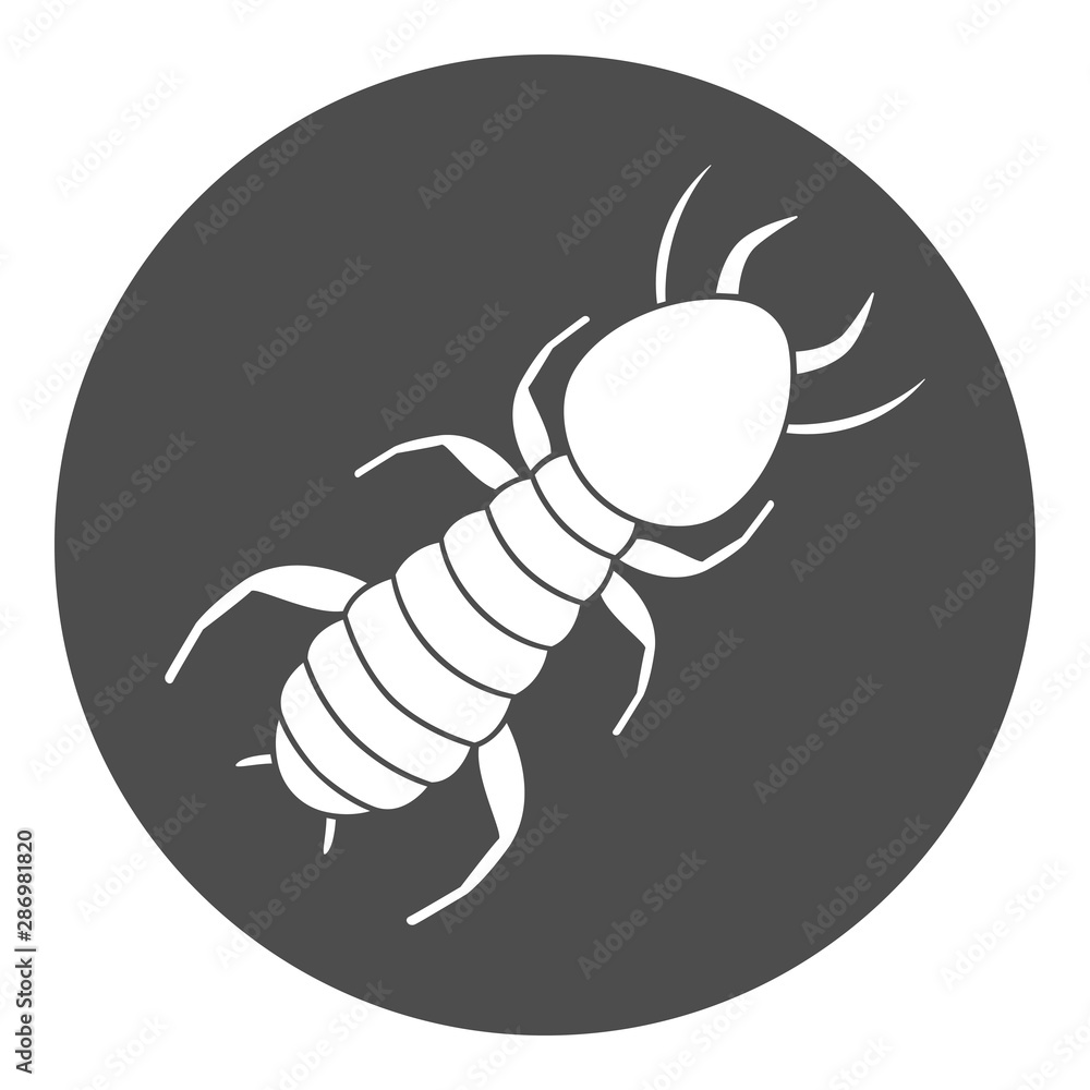 Obraz premium Termite icon. White ant symbol. Vector.