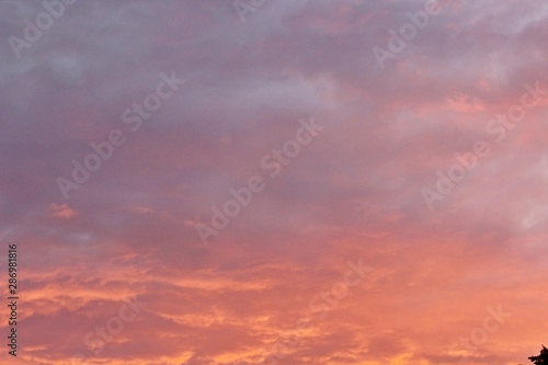 Beautiful clouds pink sunset summer evening beauty © YURY