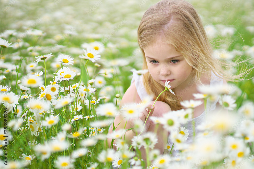 Cute little girl in big camomile meadow. Cute little girl in big camomile meadow.