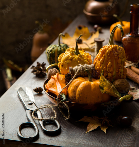 autumn still life with assorted pumpkins in copper plate with spool of thread on rustic table