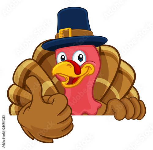 Carta da parati Pilgrim Turkey Thanksgiving bird animal cartoon character wearing a pilgrims hat