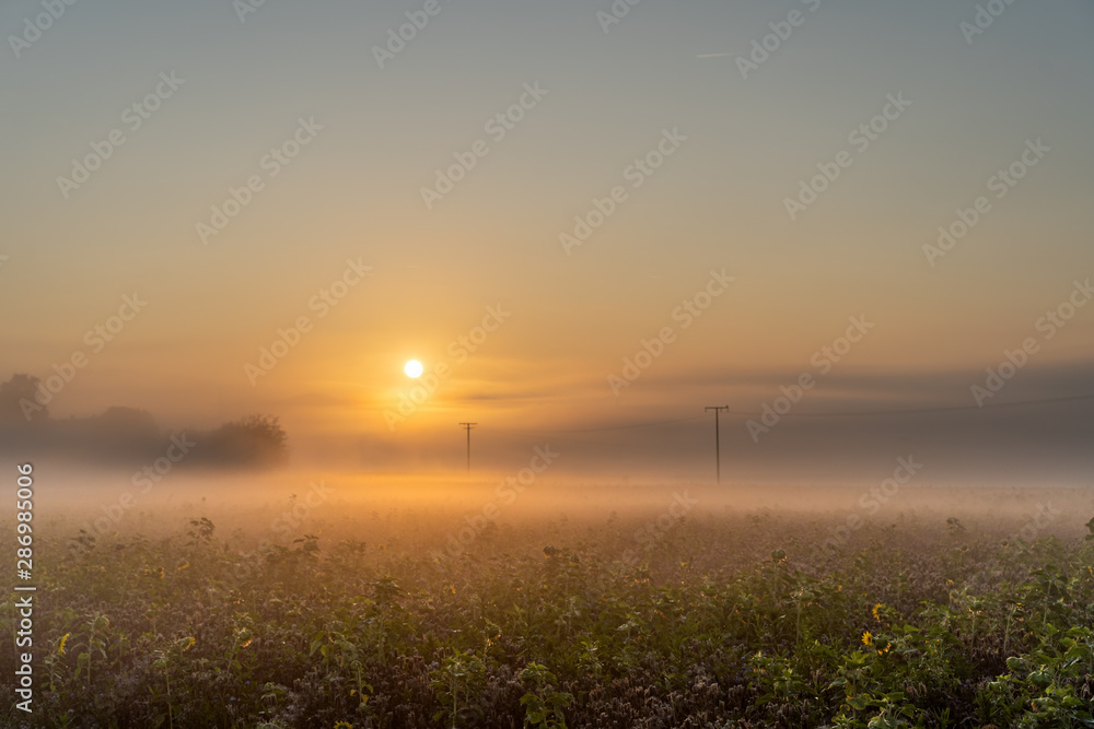 Sonnenaufgang im Sommer 