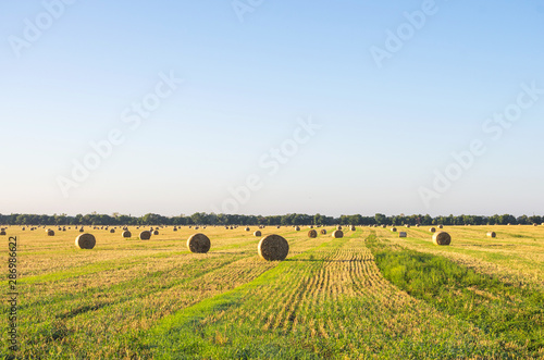 Harvested field with hay bales at sunrise. Selective focus, background image.