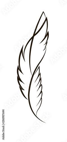 tattoo  feather isolated , minimalism